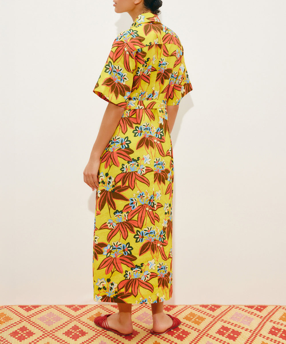 Leo Embroidered Shirtdress