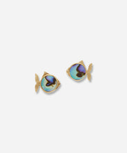 Load image into Gallery viewer, Calypso Paua Fish Studs