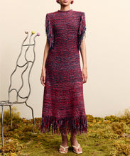 Load image into Gallery viewer, Nieve Sequin Knit Midi Dress