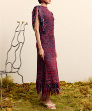 Load image into Gallery viewer, Nieve Sequin Knit Midi Dress