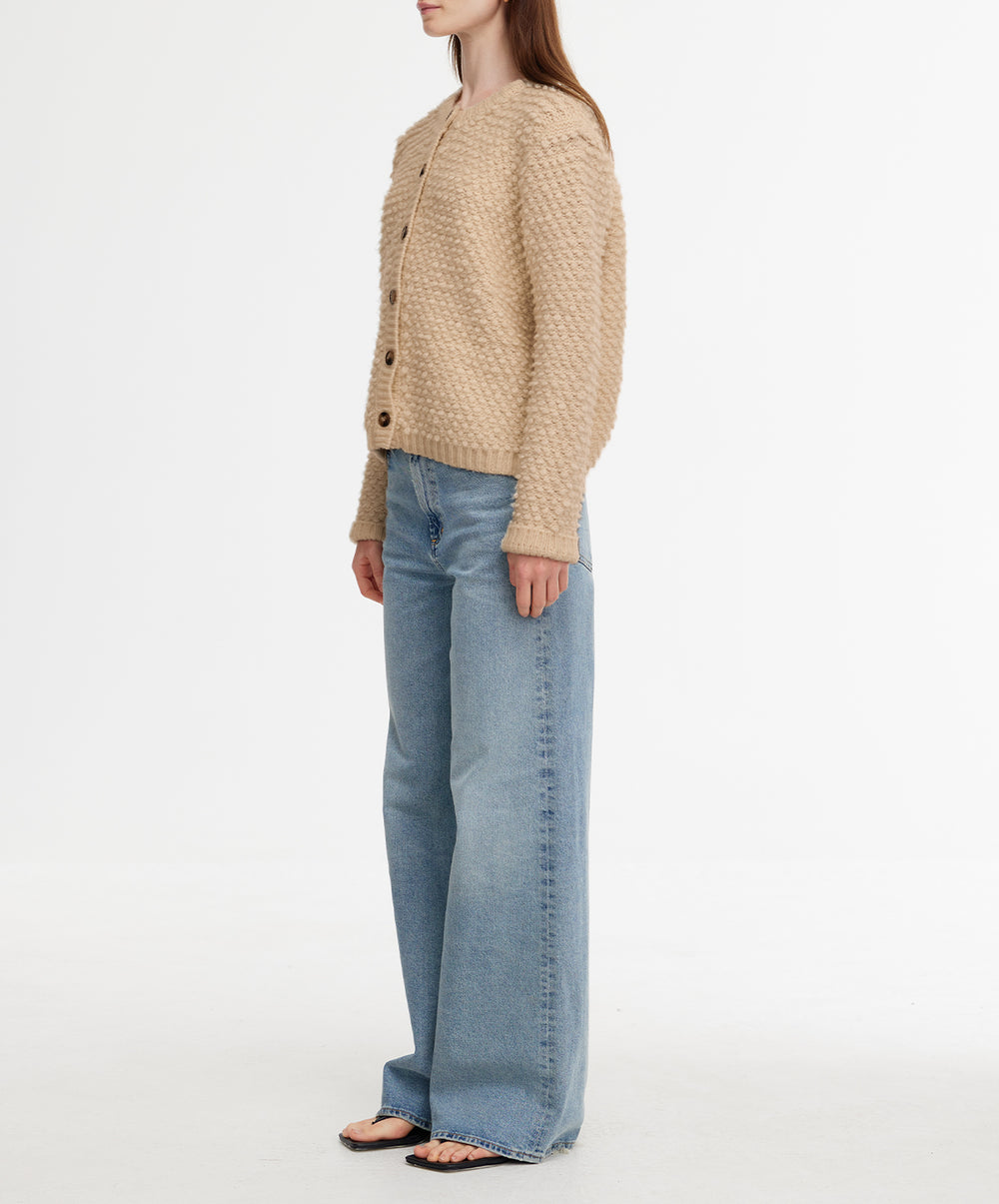 Cassidy Cardi