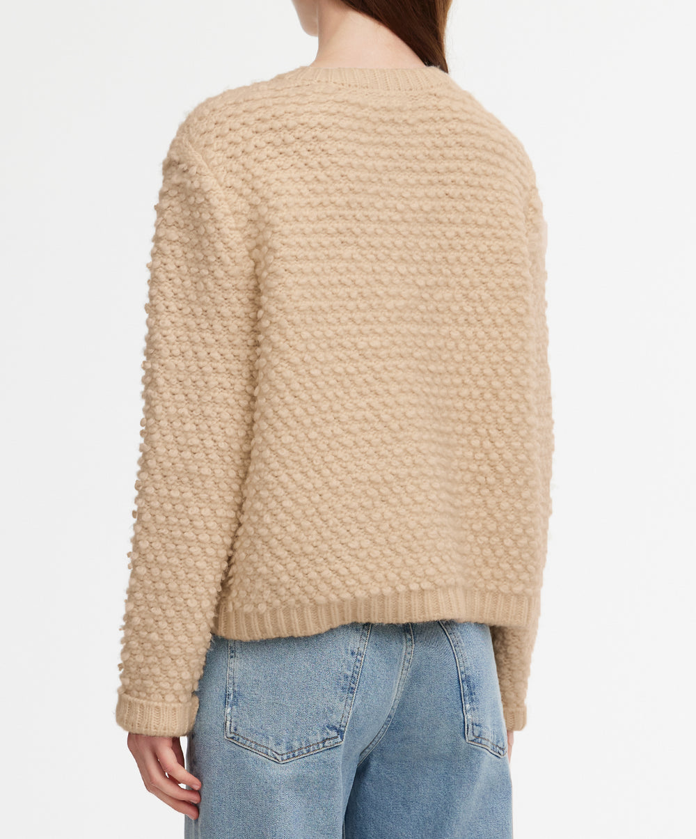 Cassidy Cardi