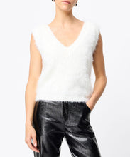 Load image into Gallery viewer, Scholar Vest