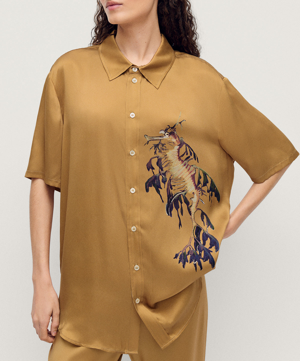 Short Sleeve Boyfriend Shirt 2.0