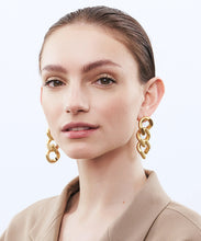 Load image into Gallery viewer, New Flat Chain Earring