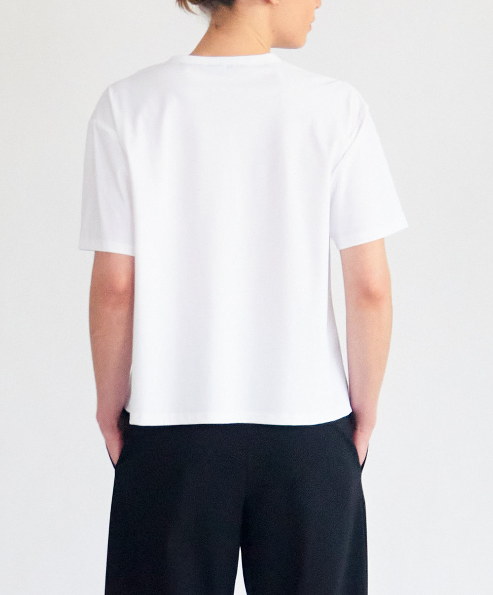 Base T